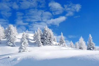 imagem jigsaw puzzle