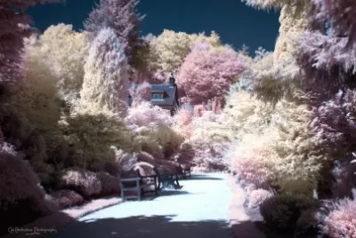Infrared gardens jigsaw puzzle