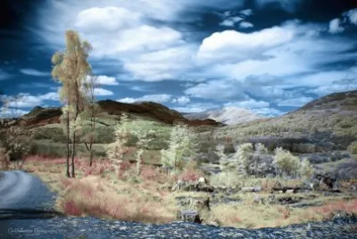 Scotland Trossachs Infrared jigsaw puzzle