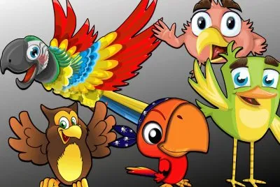 Oiseaux