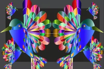 Oiseaux