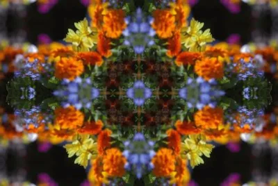 Flowers colour kaleidascope jigsaw puzzle