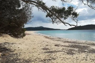 priatan jigsaw puzzle