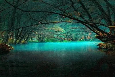 Amazing World jigsaw puzzle