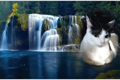 æŽèŠ jigsaw puzzle