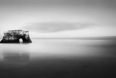 Black and White jigsaw puzzle