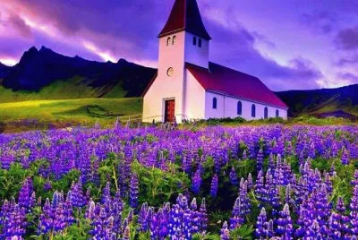 naturaleza jigsaw puzzle