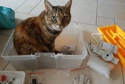 stubsy
