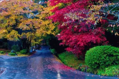 naturaleza