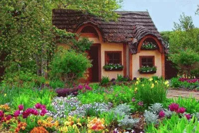 Imagem jigsaw puzzle