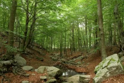 Paisajes