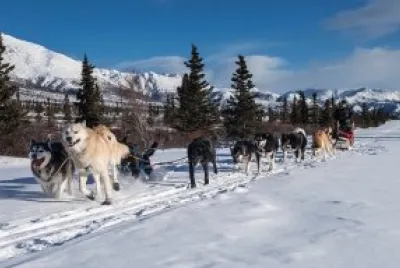 Imagem jigsaw puzzle