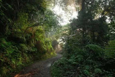 Imagem jigsaw puzzle