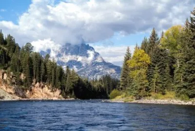 Imagem jigsaw puzzle