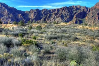 Imagem jigsaw puzzle