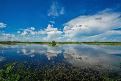 Imagem jigsaw puzzle