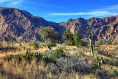 Imagem jigsaw puzzle