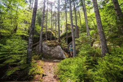 Imagem jigsaw puzzle