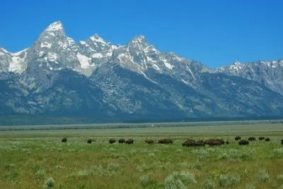 Imagem jigsaw puzzle