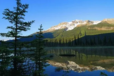 Imagem jigsaw puzzle