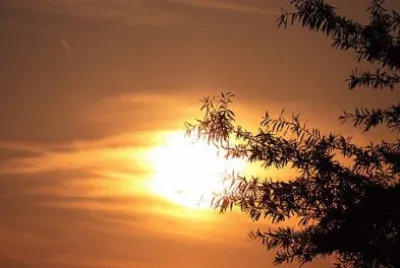 Imagem jigsaw puzzle