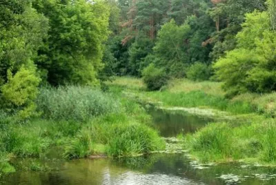 Imagem jigsaw puzzle