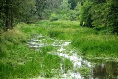 Imagem jigsaw puzzle