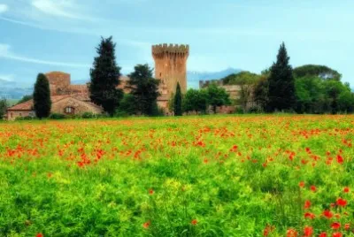 naturaleza jigsaw puzzle