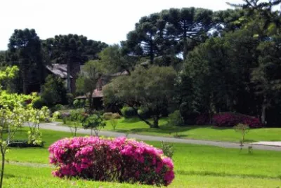 imagem jigsaw puzzle