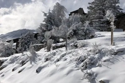 imagem jigsaw puzzle