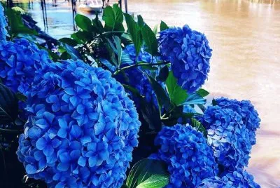 imagem jigsaw puzzle