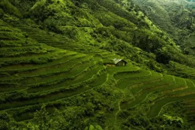 Imagem jigsaw puzzle