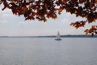 Imagem jigsaw puzzle