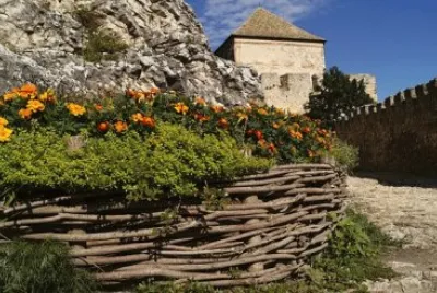 Imagem jigsaw puzzle