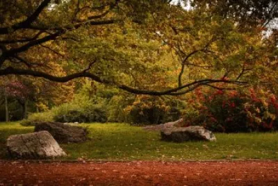 Imagem jigsaw puzzle