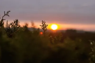 Imagem jigsaw puzzle