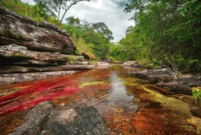 Rivers jigsaw puzzle