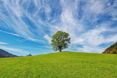 Imagem jigsaw puzzle