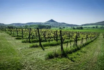 Imagem jigsaw puzzle