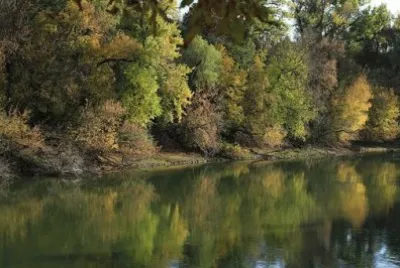 Imagem jigsaw puzzle