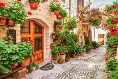 naturaleza jigsaw puzzle