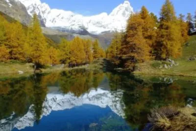 naturaleza jigsaw puzzle