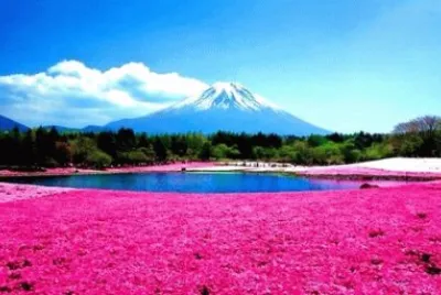 Mountain Fuji jigsaw puzzle