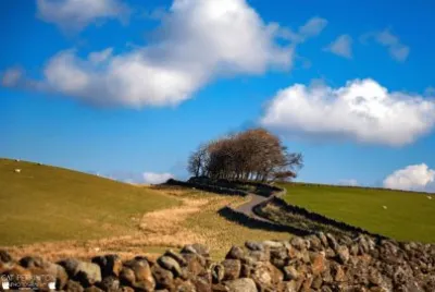 blue sky and trees over stone wall jigsaw puzzle