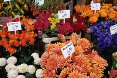 פאזל של Flores en Amsterdam