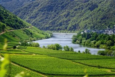 Nature jigsaw puzzle