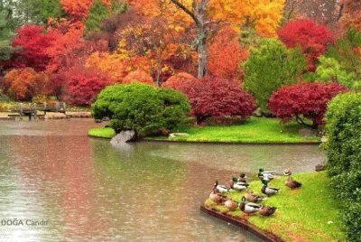 Imagem jigsaw puzzle