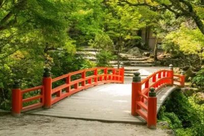 Imagem jigsaw puzzle