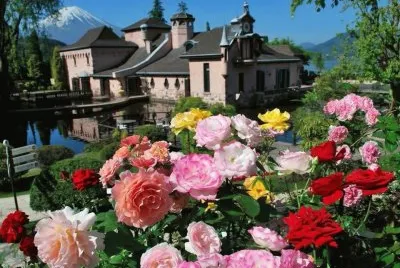 palacio florido jigsaw puzzle