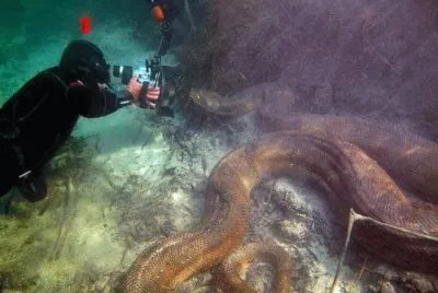 increible jigsaw puzzle